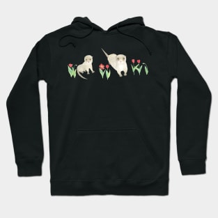 Baby Otters and Red Tulips Hoodie